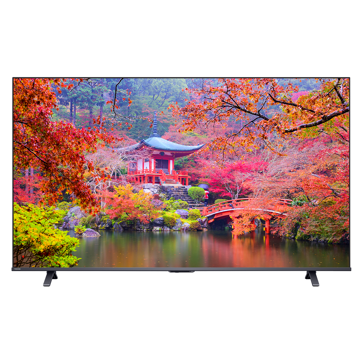 Toshiba 43" E450N PRO Quantum Dot Color 4K TV